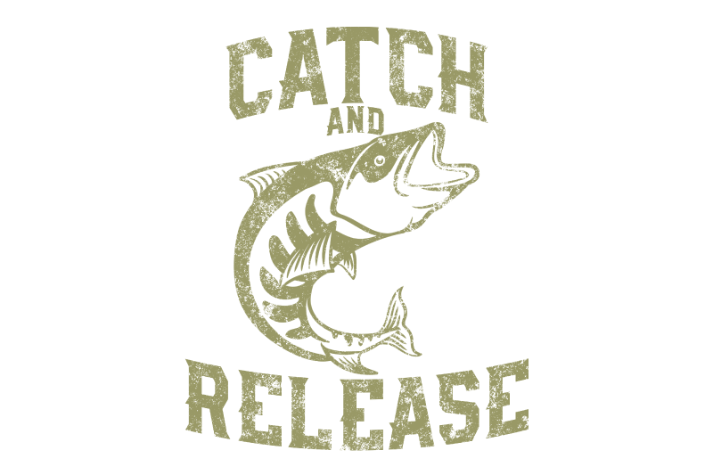 Enhancing Visual Quality with High-Resolution Free Templates