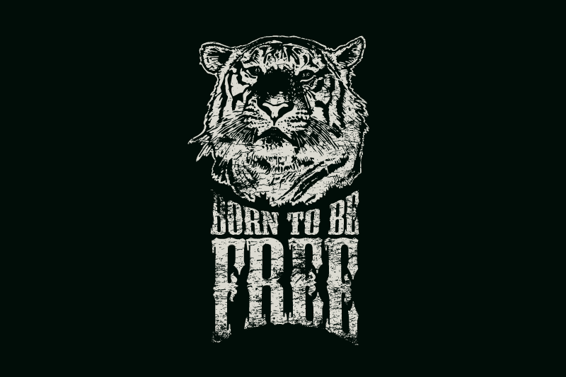 Shrit Branding: Achieving Visual Consistency Through Vector-Based Assets