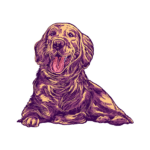 Create Stylish T Shirt Graphic Design Fast with Free Vectors