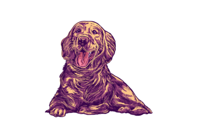 Create Stylish T Shirt Graphic Design Fast with Free Vectors