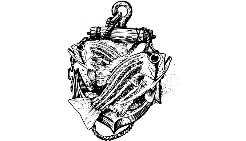 Design Professional Fishing Shirts Using Free Vector Graphics