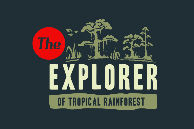 Design Your Own Tee Shirt in Minutes with Free Files