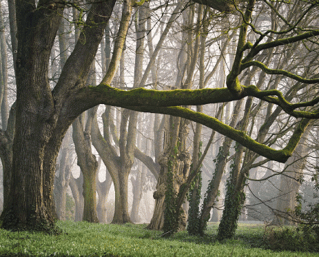 Fairy Tales That Shape Childhood and Beyond