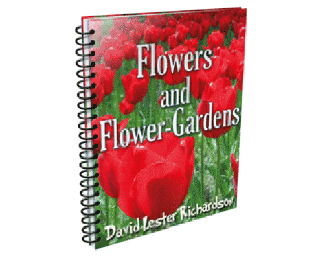 Flower Gardens That Inspire Calm and Creativity