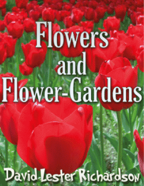 Flower Gardens for Every Season and Space