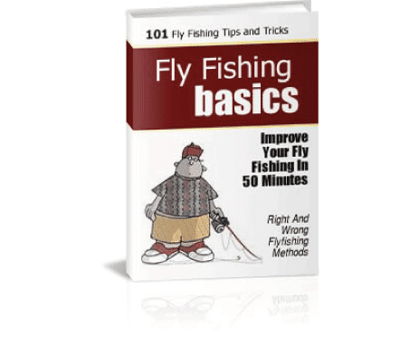 Fly Fishing Basics for New Anglers