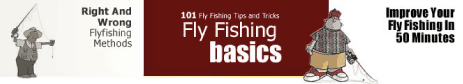 Fly Fishing Techniques That Improve Success