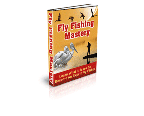 Fly Fishing Techniques for Better Casting Accuracy