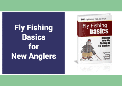 Fly Fishing Tips Every Beginner Should Know Fly Fishing Tips Every Beginner Should Know