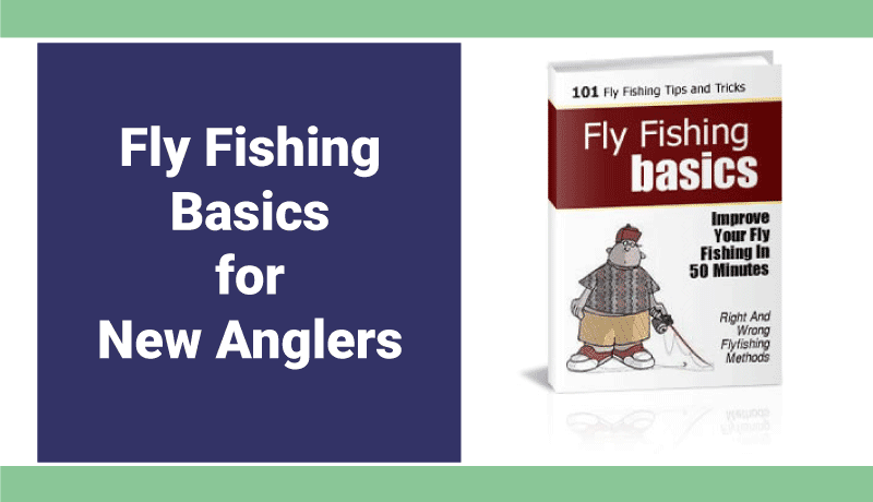Fly Fishing Tips Every Beginner Should Know Fly Fishing Tips Every Beginner Should Know