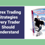 Website Flipping Basics That Build Real Value Forex Trading Strategies for Consistent Results