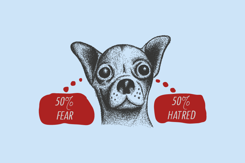 Increasing Design Consistency for Large-Scale Custom T Shirt Printing