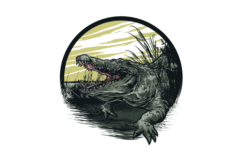 T Shirt Graphic Design: Use Scalable Vector Files for Sharp, Clean Printing