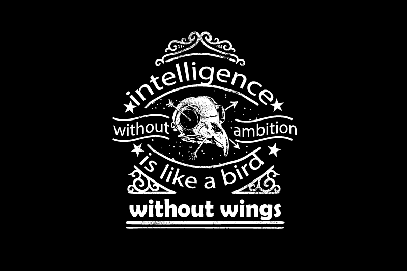 Using Free Vectors to Build Cohesive Collections of Vintage T Shirts