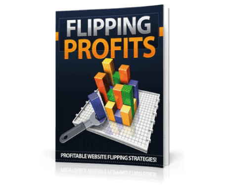 Website Flipping Strategies for Beginners