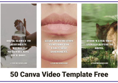 50 Canva Video Template That Instantly Boosts Engagement