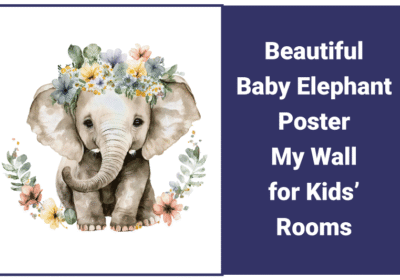 Beautiful Baby Elephant Poster My Wall for Kids’ Rooms