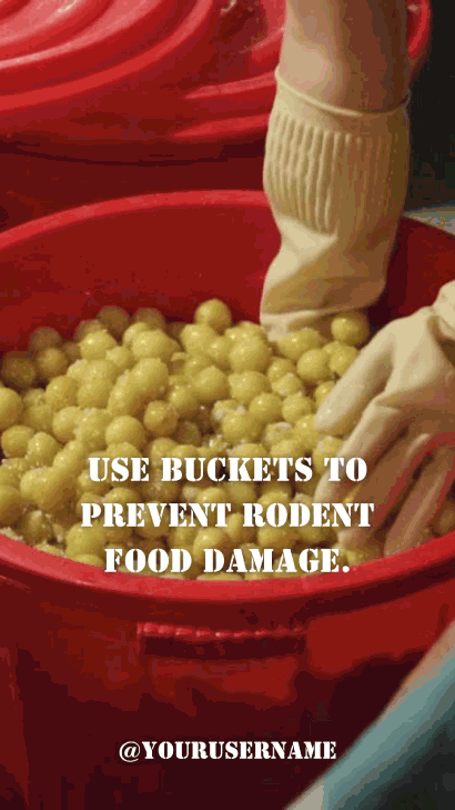 Canva Templates for Sale That Target the Food Niche