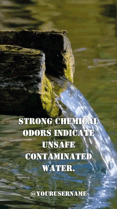 Canva Video Template Built for Consistent Branding