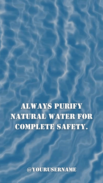 Canva Video Template That Saves Time