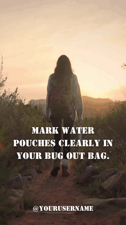 Canva Video Template That Supports Creative Freedom