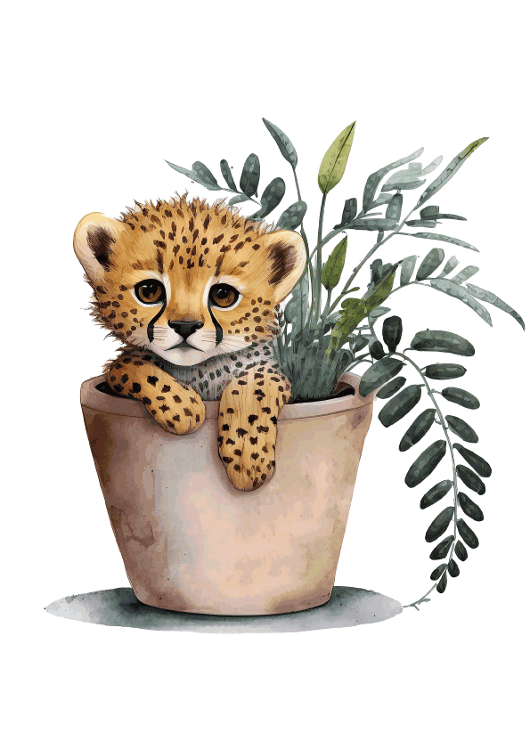 How Large Photo Prints Create Personality and Emotional Connection