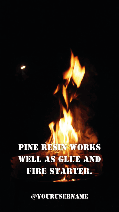 canva reels templates - Designed to Match Platform Algorithms