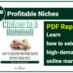 Google Ads Manager Secrets Every Marketer Needs Profitable Niches A Powerful Guide to Smart Market Choices