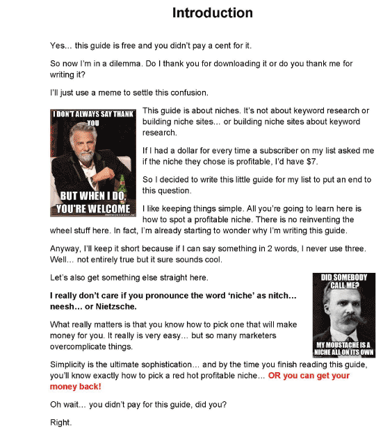 Profitable Niches Require Clear Audience Understanding