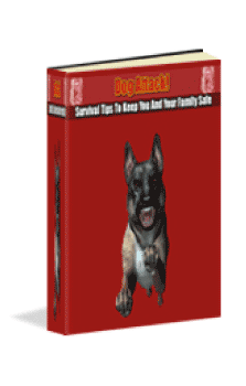 Survival Tips - Emergency Actions During a Real Attack