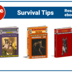 Survival Tips Powerful Guide to Avoid Dog Attacks