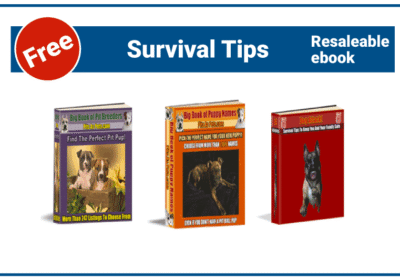 Survival Tips Powerful Guide to Avoid Dog Attacks